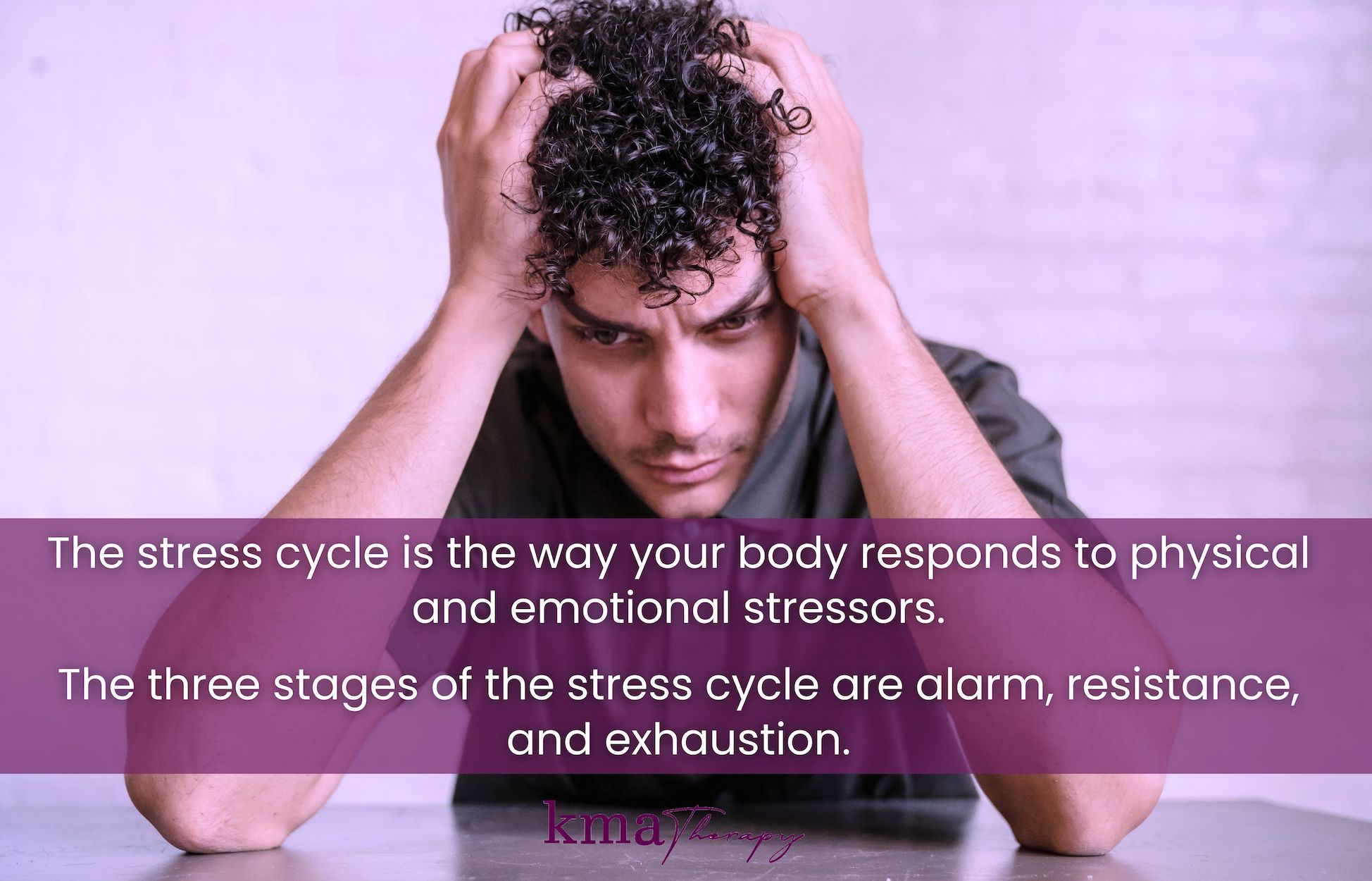 What is the Stress Cycle? (& 3 Ways to Complete Your Stress Cycle)